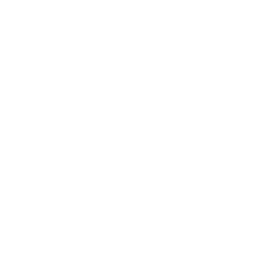  Аничча